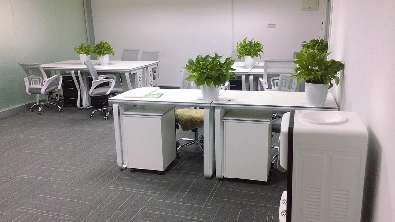 1613700944817331.jpg 800.jpg